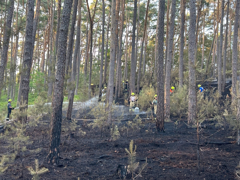 Waldbrand bei Wendelstein